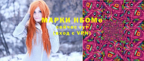 гашик Алексеевка