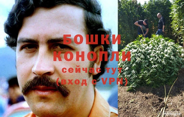 тгк Новодвинск