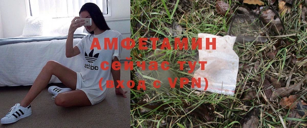 гашик Алексеевка