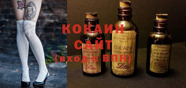 тгк Новодвинск