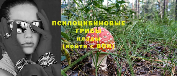 МДПВ Абаза