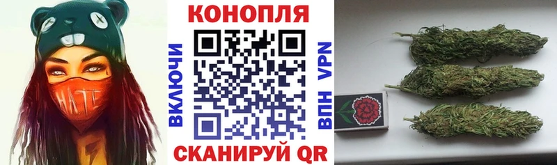 Марихуана планчик Протвино