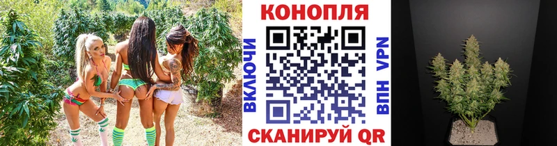 Бошки Шишки сатива  mega ONION  Протвино  закладки 
